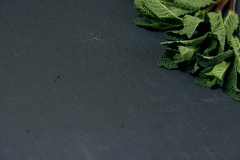 Composition of fresh mint on a dark background Stock Photos