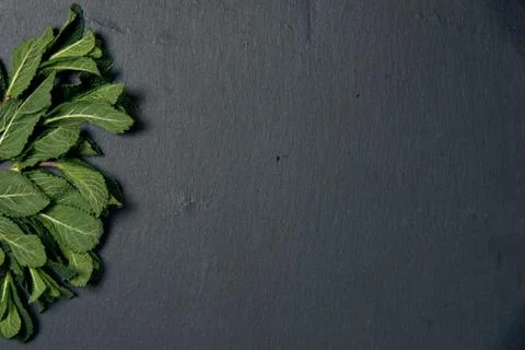 Composition of fresh mint on a dark background with copy space Stock Photos
