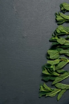 Composition of fresh mint on a dark background with copy space Stock Photos