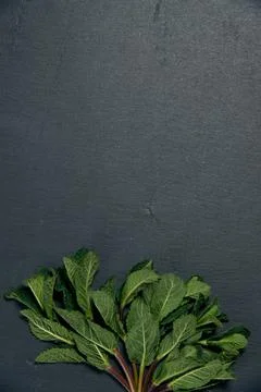 Composition of fresh mint on a dark background Stock Photos