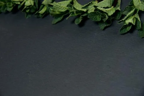 Composition of fresh mint leaves on a dark background. Top view. Copy space Stock Photos