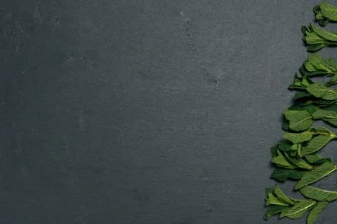 Composition of fresh mint leaves on a dark background. Top view. Copy space Stock Photos