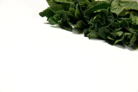 Composition of fresh mint leaves isolated on a white background. Top view. Stock Photos