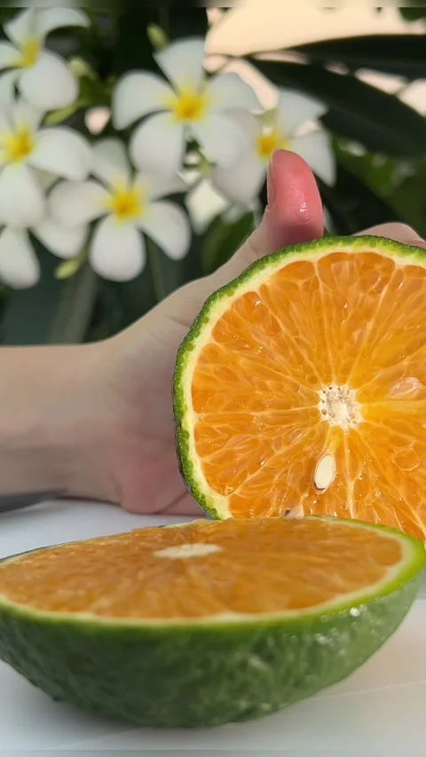 Composition of fresh oranges and leaves on a wooden stump Stock Footage 264139099