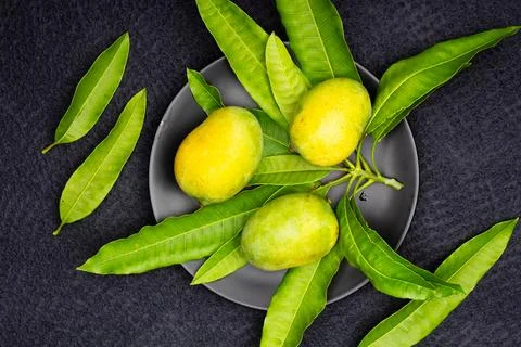Composition of  fresh ripe mango with leaves Stock Photos
