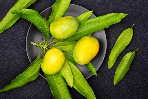 Composition of  fresh ripe mango with leaves Stock Photos