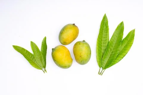 Composition of  fresh ripe mango with leaves Foto stock
