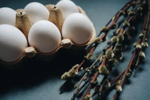 Composition of fresh white easter eggs in carton box and williw catkins isolated Stock Photos