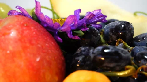 Composition from Fruit Berry 스톡 동영상 103851523