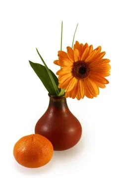 Composition with gerber daisy in vase and tangerine Stock Photos
