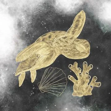 A composition of gold, hatched Illustrations of a turtle, clam shells and cor Stock Illustration