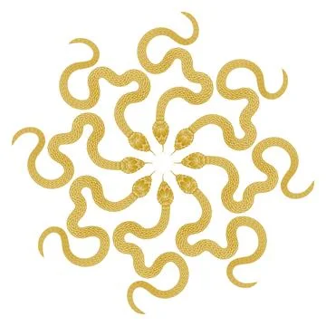 Composition of golden snake pattern on white background 스톡 일러스트
