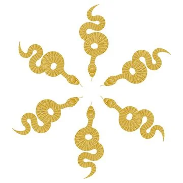 Composition of golden snake pattern on white background 스톡 일러스트