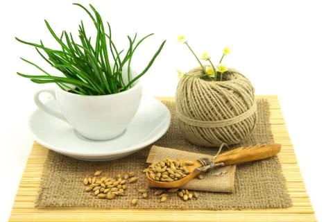 Composition from grass in the cup and plate, seeds, mat, sacking, spoon, thre Stock Photos