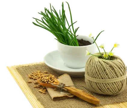 Composition from grass in the cup and plate, seeds, mat, sacking, spoon, thre Stock Photos