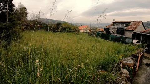 COMPOSITION GRASS FIELD SKY HOUSE Stock Footage 90133023