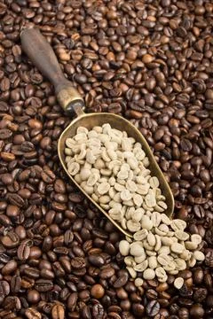 Composition with green and roasted coffee beans Stock Photos