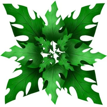 Composition of green exotic leaves Illustrazione stock