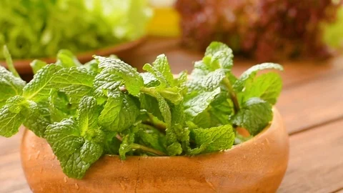 Composition of greens and mint Stock Footage 72977402