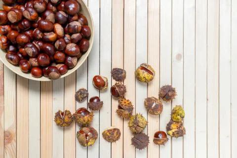 Composition of half-opened chestnuts in prickly shell and peeled nuts in bamb Stock Photos