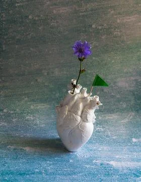 Composition with heart and flag Stock Photos