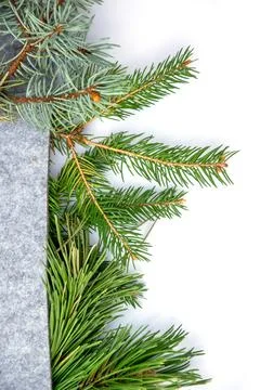 The composition highlights various evergreen branches laid out on a soft grey Stock Photos