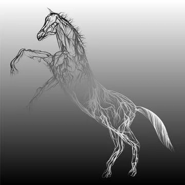 Composition of a horse standing in profile with wavy lines along the outline  Stock Illustration