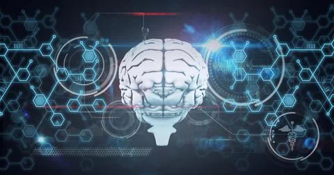 Composition of human brain, chemical compounds and scientific data processing on Ilustração Stock