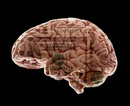 Composition of human brain model and one hundred dollar note Illustrazione stock
