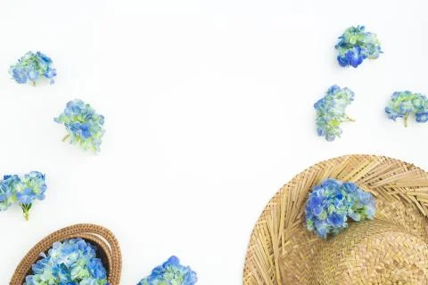 Composition of hydrangea flowers with straw on white background. Flat lay, to Foto stock