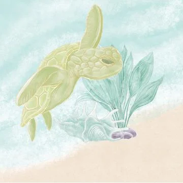 Composition of an illustration of a turtle shell and seaweed on the backgroun イラスト素材
