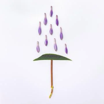 Composition imitating an umbrella and rain in a flat lay. Stock Photos