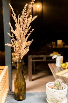 Composition For An Interior From Dry Elements Stock Photos