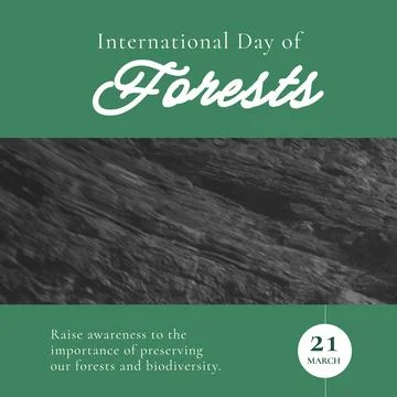 Composition of international day of forests text over bark on green background Stock-Illustration