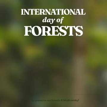 Composition of international day of forests text and out of focus trees Ilustración de archivo