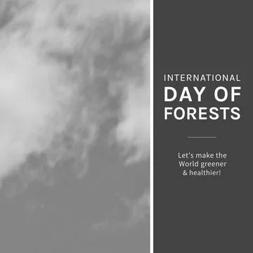 Composition of international day of forests text over sky with clouds on grey 스톡 사진