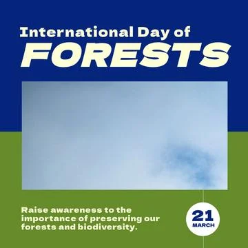 Composition of international day of forests text over sky with clouds on blue Foto stock