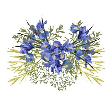 Composition of iris flowers with foliage. Isolated watercolor illustration. B Stock Illustration