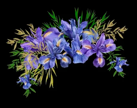 Composition of iris flowers with foliage. Isolated watercolor illustration. B Stock Illustration