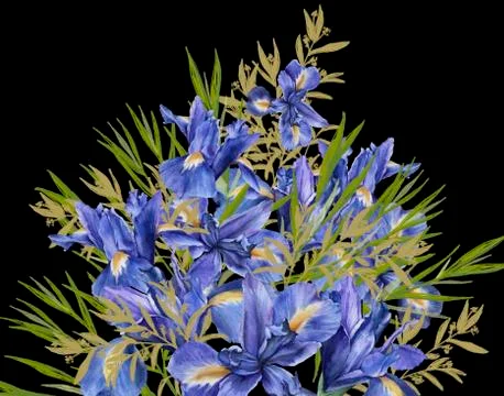 Composition of iris flowers with foliage. Isolated watercolor illustration. B Stock Illustration