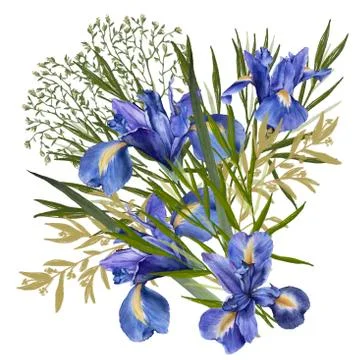 Composition of iris flowers with foliage. Isolated watercolor illustration. B Stock Illustration