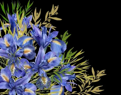 Composition of iris flowers with foliage. Isolated watercolor illustration. B Stock Illustration