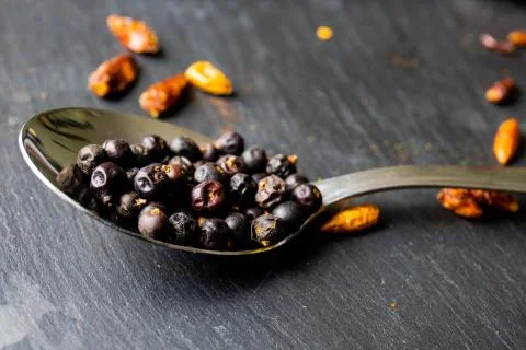 Composition with Juniper berries in spoon on stone background Stock Photos