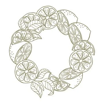 A composition of lemon slices and lemon halves in the form of a wreath. Citru Ilustração Stock