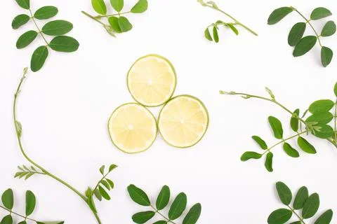 Composition of lemon slices with green leaves Stock Photos