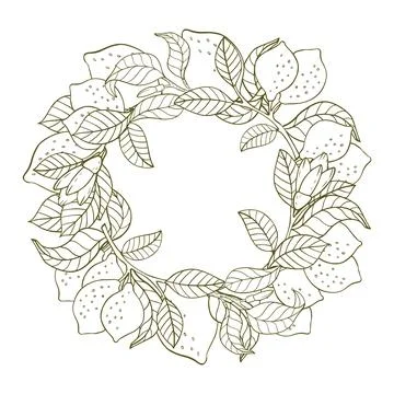 A composition of lemon twigs and lemons in the form of a wreath. Citrus compo Stock Illustration