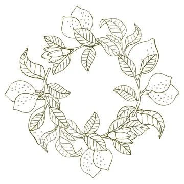A composition of lemon twigs and lemons in the form of a wreath. Citrus com.. Stock Illustration