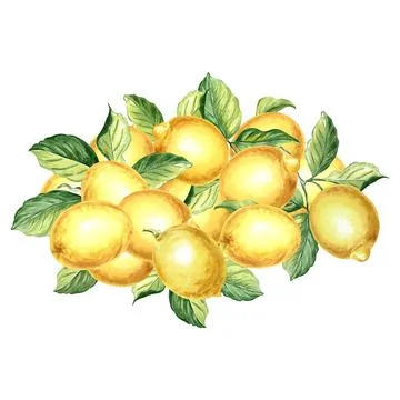 Composition of lemons with leaves. Summer citrus isolated. Watercolor hand drawn Illustrazione stock