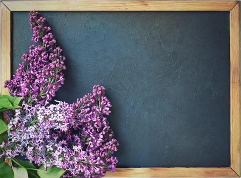 Composition of lilac flowers on a blach background. Floral spring background. Stock Photos
