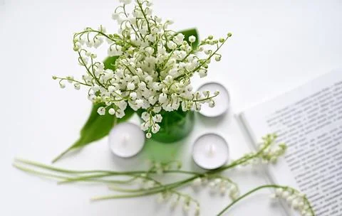 Composition of lily of the valley. Spring concept. A gift to a woman. Stock Photos
